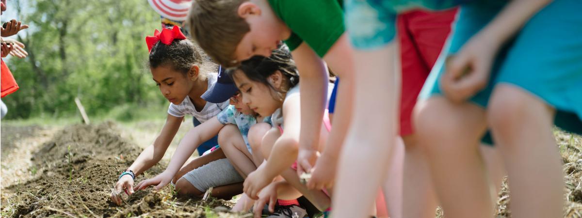 Children dig in the soil during a field trip to a local farm. Children dig in the soil during a field trip to a local farm.