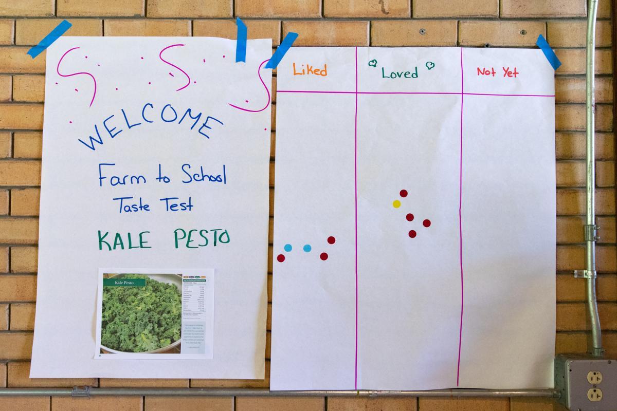 The kale pesto was put up for an Institute-wide taste test, a tool many cafeterias and early childhood programs utilize to gather feedback from students as they try new foods. The kale pesto was put up for an Institute-wide taste test, a tool many cafeterias and early childhood programs utilize to gather feedback from students as they try new foods.