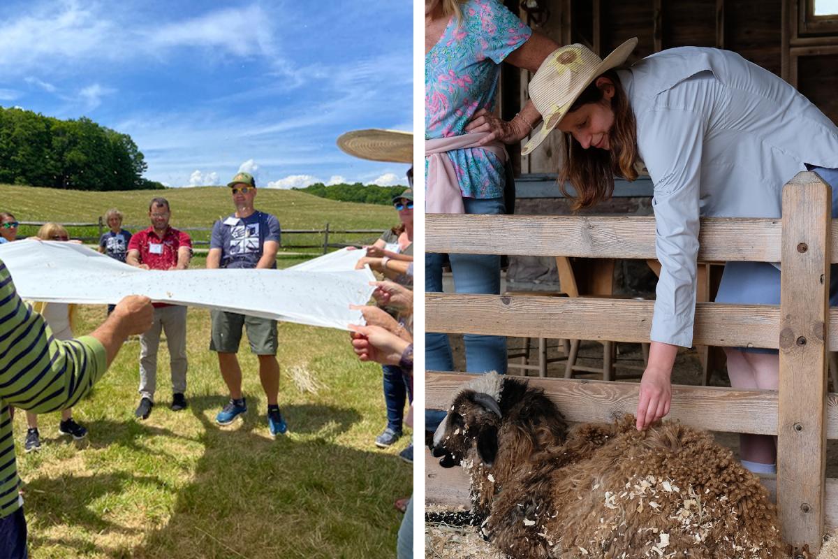 Left: a large tarp is used to winnow, separating the wheat grain from the chaff. Photo by Dinah Mack. Right: A participant meets a lamb in the Children's Farmyard at Shelburne Farms. Photo by Andrea Estey. Left: a large tarp is used to winnow, separating the wheat grain from the chaff. Photo by Dinah Mack. Right: A participant meets a lamb in the Children's Farmyard at Shelburne Farms. Photo by Andrea Estey.