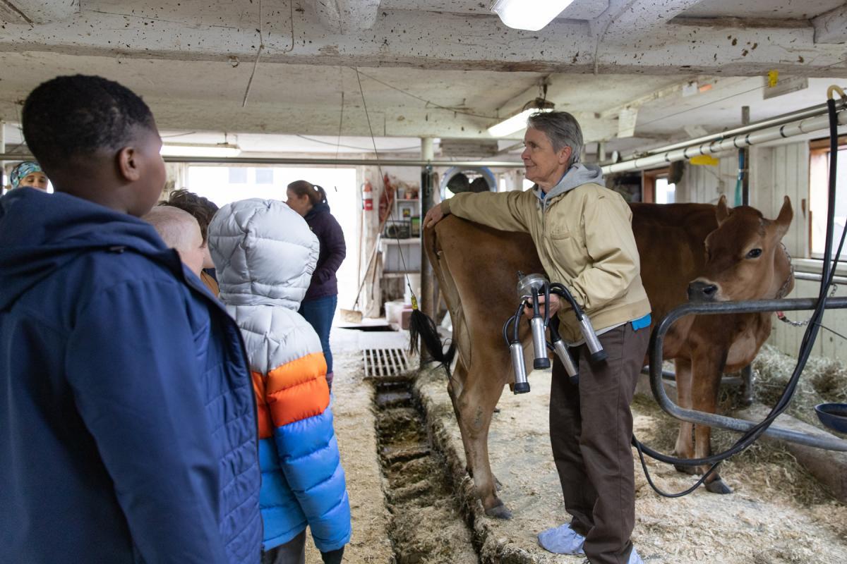 Farmer and Owner Linda Stanley introduces the students to Pez, a member of the milking herd, and explains how the milking equipment works. Farmer and Owner Linda Stanley introduces the students to Pez, a member of the milking herd, and explains how the milking equipment works.