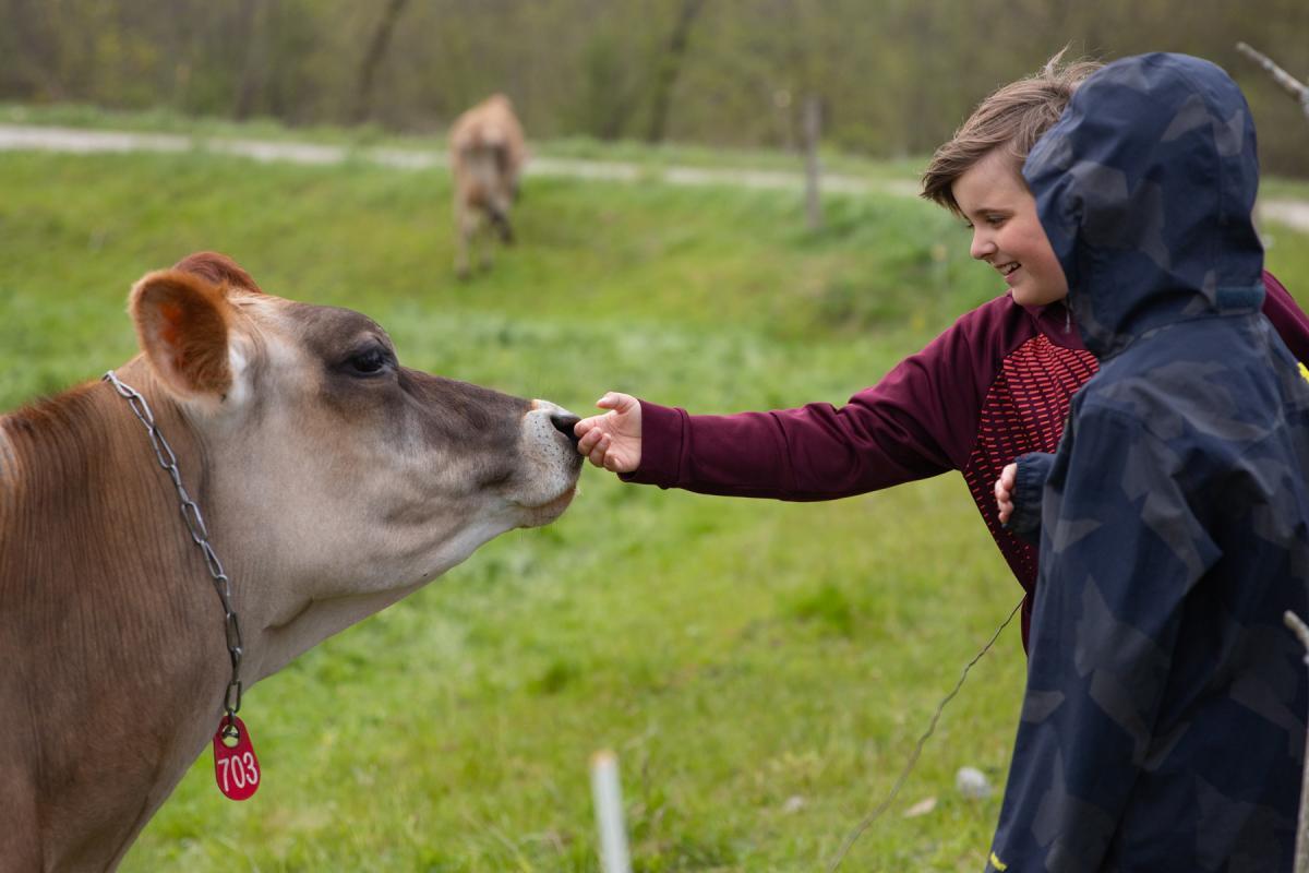 Students get up close with one of the Jersey cows. The Dairy in the Classroom program teaches students to appreciate the animals and farmers that give us so much. Students get up close with one of the Jersey cows. The Dairy in the Classroom program teaches students to appreciate the animals and farmers that give us so much.
