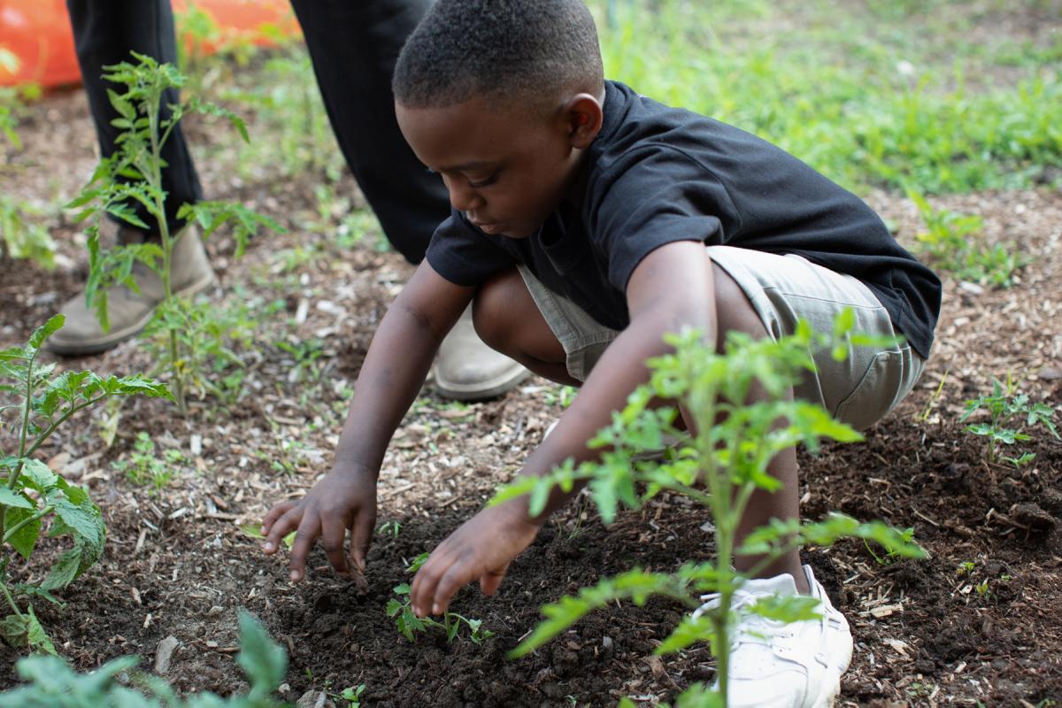 what-is-farm-to-school-green-teacher-podcast-digs-in-vermont-feed