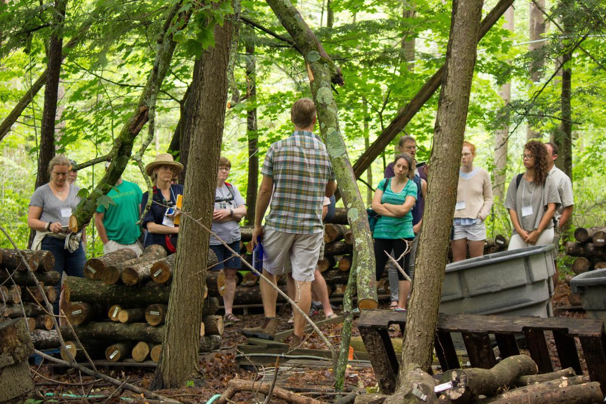 Teams learn about the Shiitake mushroom growing strategies at Shelburne Farms
