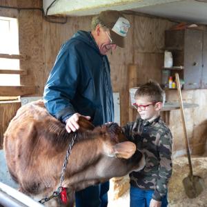 A farmer and a child are inside a barn, interacting with a young calf. A farmer and a child are inside a barn, interacting with a young calf.