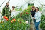 Four adult stand together in a garden hoop house with dahlias.