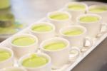 A tray of white cups filled with green soup, arranged in a neat row on a counter.